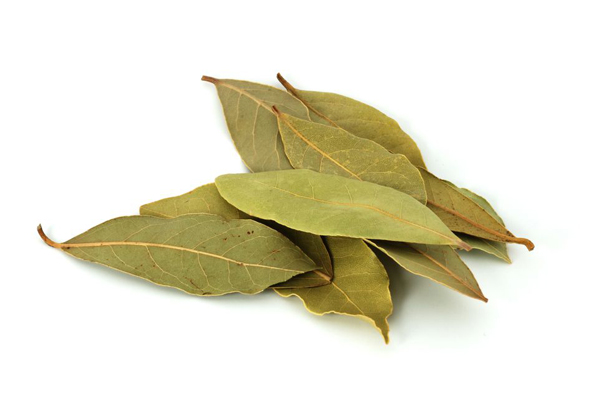 Bay leaves