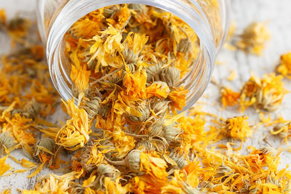 Calendula